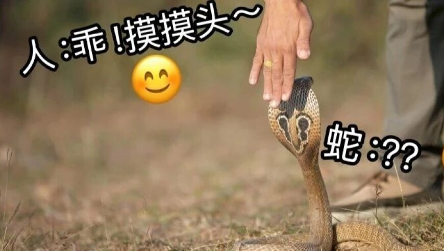 人民空军回应古巴飞行员爷爷,王中王100%期期准一肖一码期期准中选料一肖,完美答案解释落实_AndroidV9.81